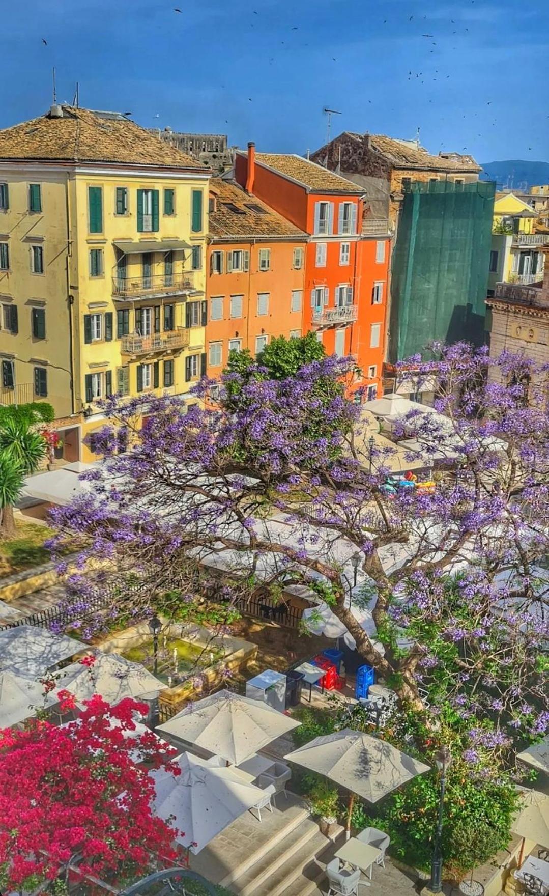 Corfu  Old Town Hall Apartment מראה חיצוני תמונה